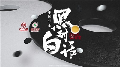 首屆黑白對話高峰論壇圓滿落幕！湘益茯茶備受關注！