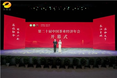 【聚焦第二十屆中國茶業(yè)經(jīng)濟年會】益陽茶廠榮獲“民族團結互助企業(yè)”、“2024年度茶業(yè)重點企業(yè)”榮譽稱號